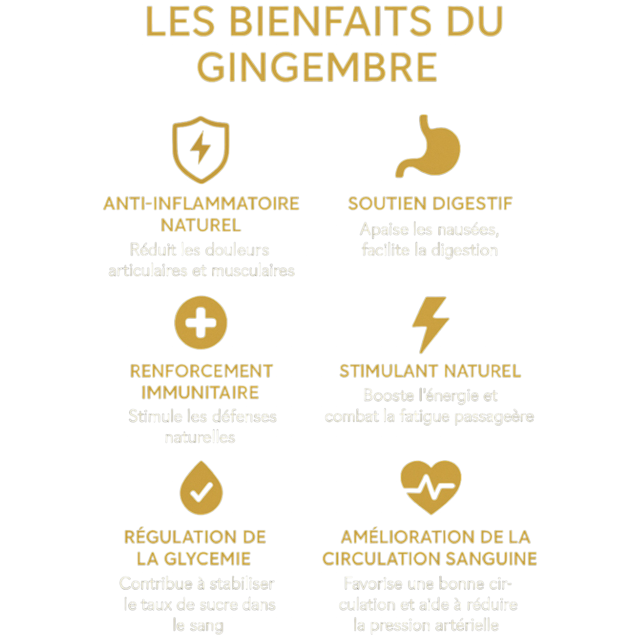 Sirop de Gingembre Authentique