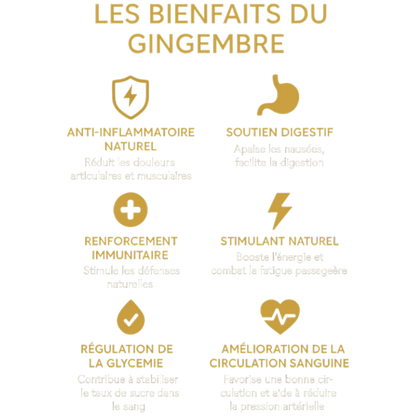 Sirop de Gingembre Authentique